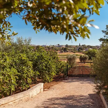 Lejlighed Trulli Di Bacco Locorotondo